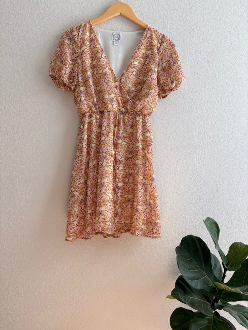 Francesca’s Floral Tie Front Ruffled Mini Dress XS